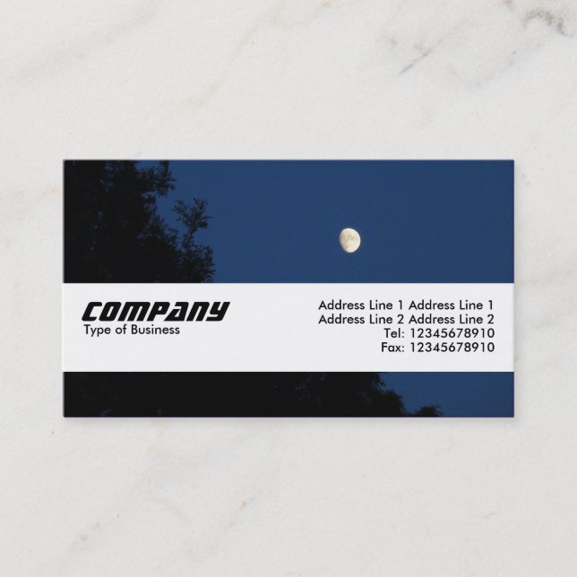 Texture Band - Summer Night Business Card (Front)