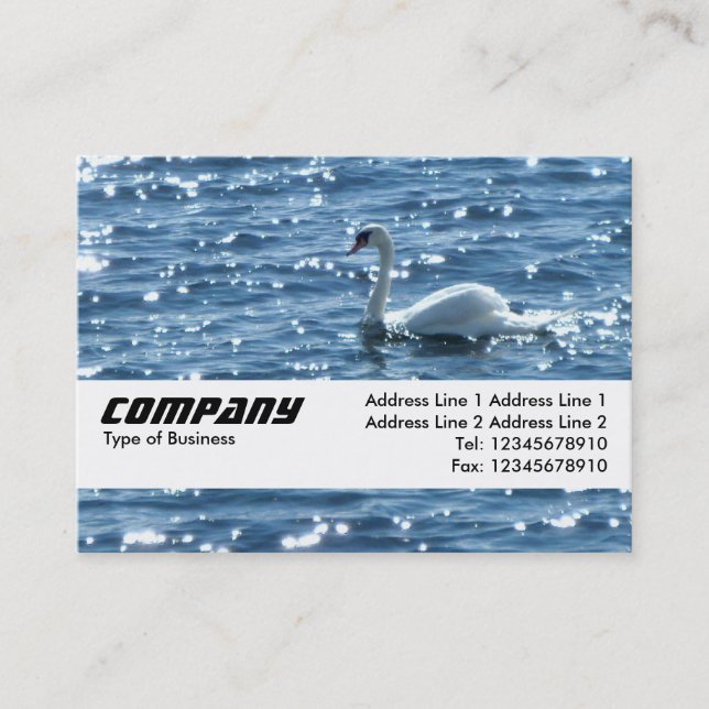 Texture Band - Swan Business Card (Front)