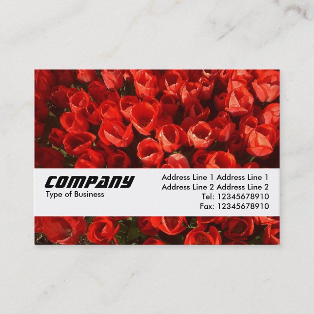 Texture Band - Tulips Business Card (Front)