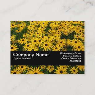 Texture Band V2 - Black-eyed Susans (Rudbeckia Hir Business Card