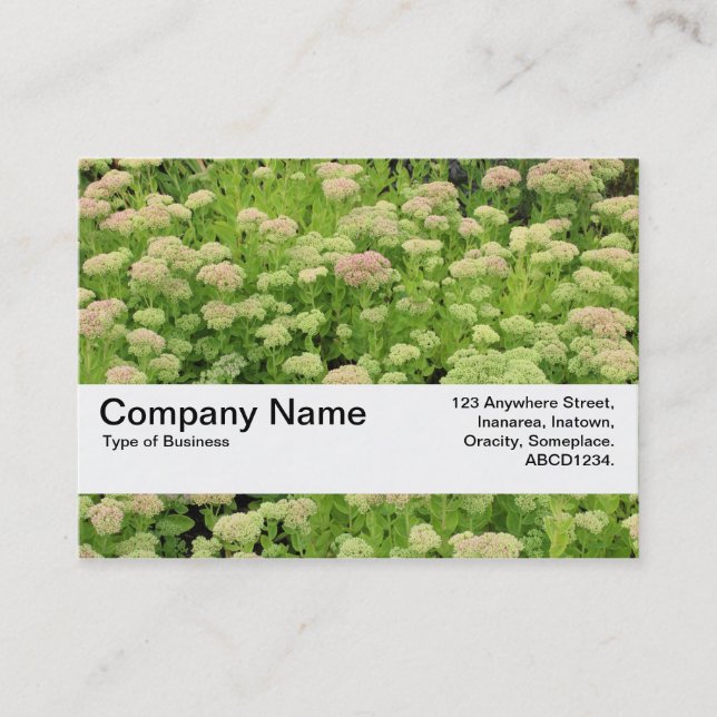 Texture Band V2 - Blue Autumn Business Card (Front)