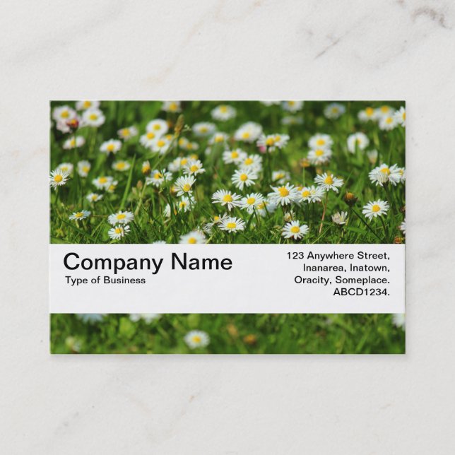 Texture Band V2 - Daisy Meadow Business Card (Front)