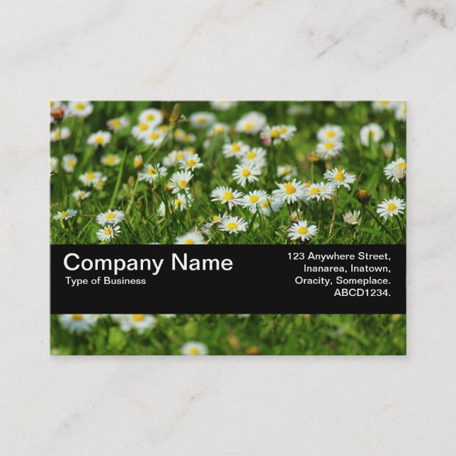 Texture Band V2 - Daisy Meadow Business Card (Front)