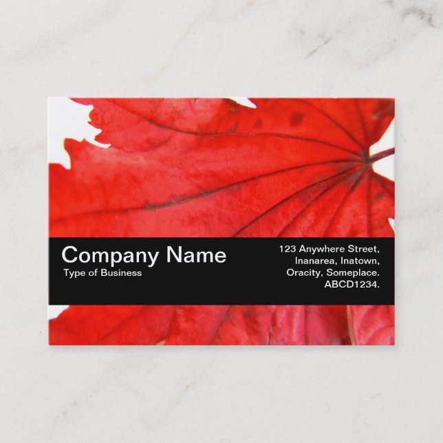 Texture Band V2 - Japanese Leaf Maple Business Card (Front)