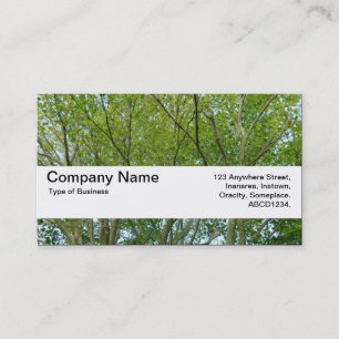 Texture Band V2 - Japanese Maple Business Card