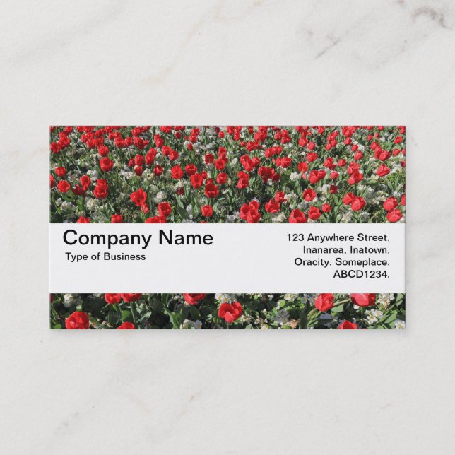 Texture Band V2 - Red Tulips and Primroses Business Card (Front)
