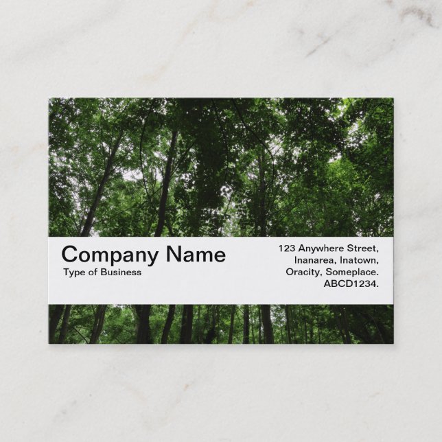 Texture Band V2 - Woodland Canopy 02 Business Card (Front)