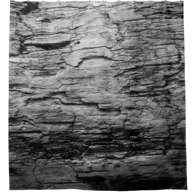 Texture black and white wood tree (Front)