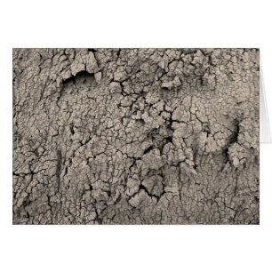 Texture Cool de la Terre fissurée