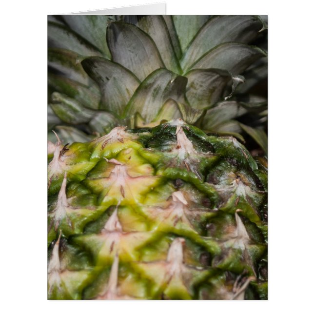 Texture de l'ananas (Devant)