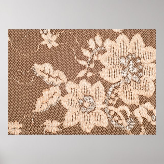 Texture lace fabric. lace on white background stud poster (Front)