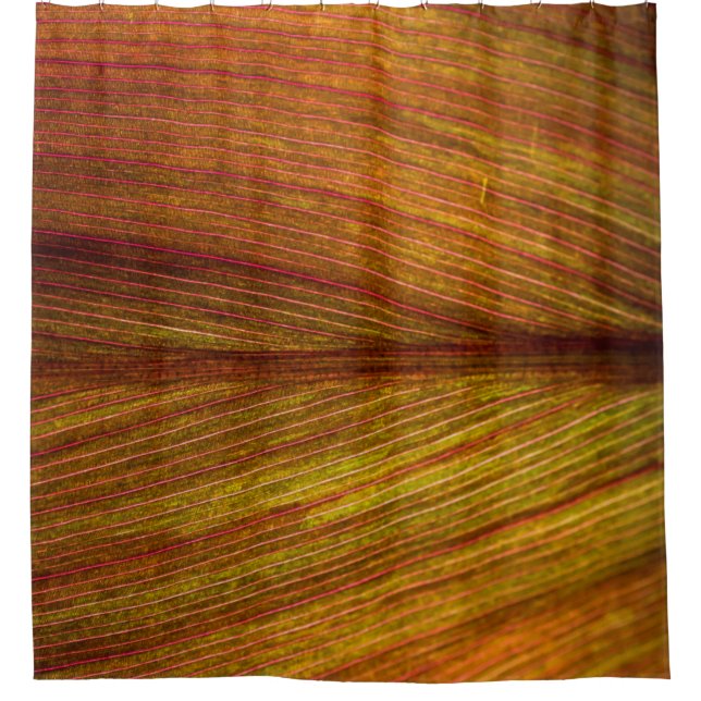 Texture nature leaf botany macro (Front)