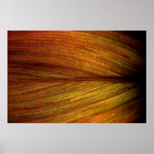 Texture nature leaf botany macro poster