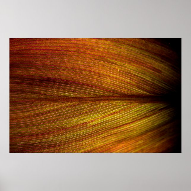 Texture nature leaf botany macro poster (Front)