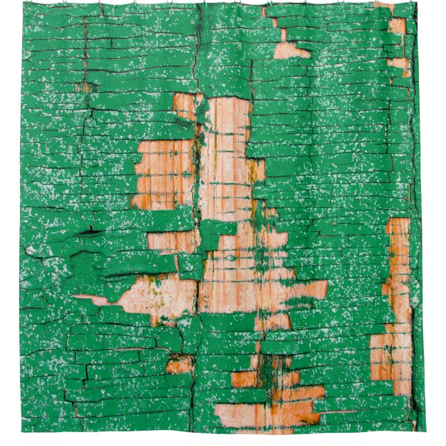 Texture of old wooden fence with shabby paint. Gre (Front)