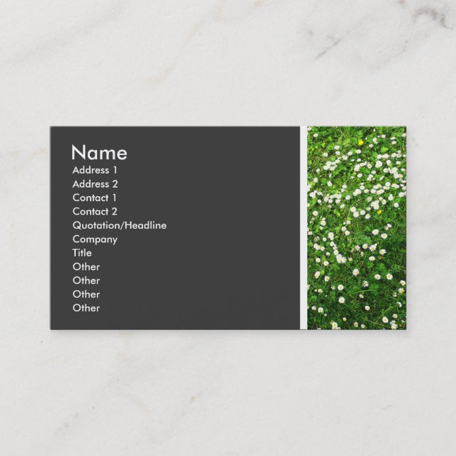 Texture Tone (Daisy Lawn II) Business Card (Front)