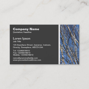 Texture Tone - Silver Birch Branches 02 Business Card