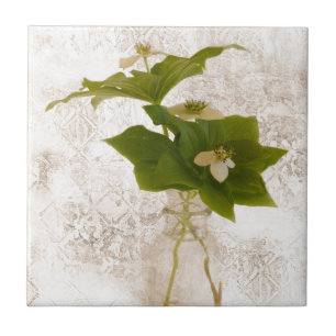 Textured Dogwood Bunch Berry In Jar Still Life Tile