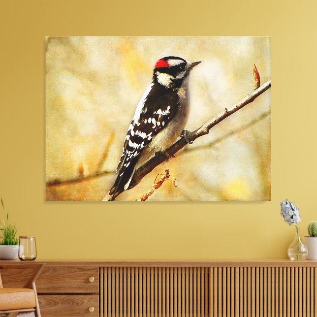 Textured Downy Woodpecker Stretched Canvas Print (Insitu(LivingRoom))