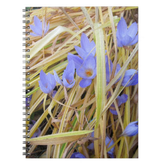 Textured Fall Crocuses in Straw Spiral Notebook. Notebook