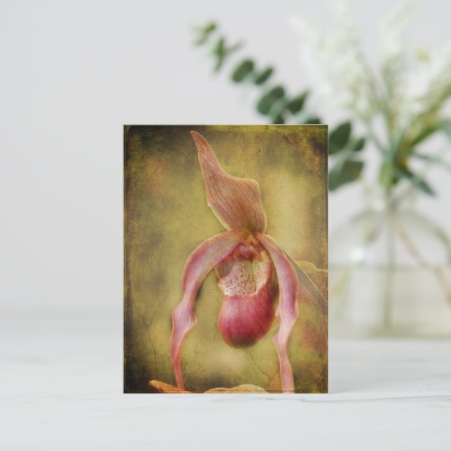 Textured Lady Slipper Orchid Postcard (Standing Front)