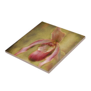 Textured Lady Slipper Orchid Tile