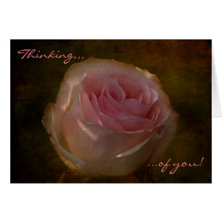 Textured Pink Rose "Thinking of You" Greeting Card