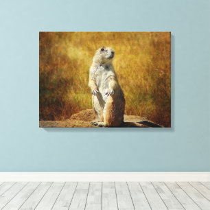 Textured Prairie Dog Canvas Print