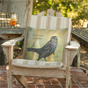 Textured Red-winged Blackbird Outdoor Throw Pillow