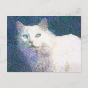 Textured white cat postcard