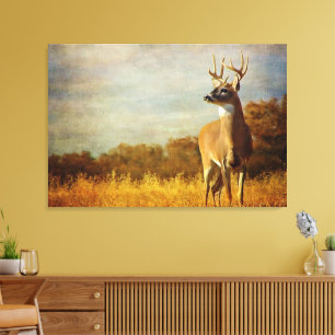 Textured White-tailed Buck Canvas Print