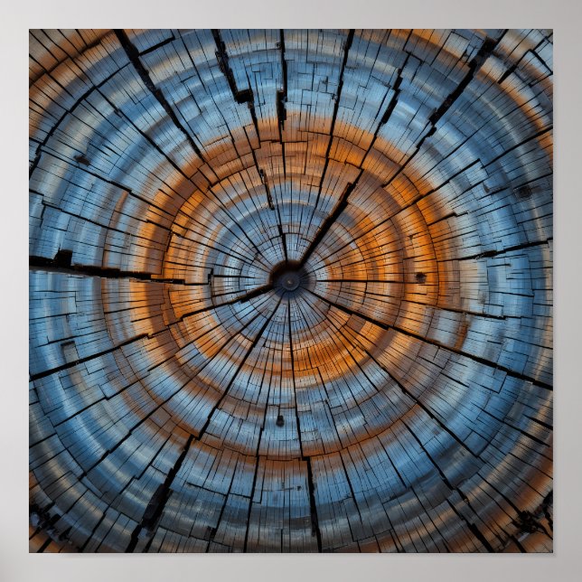 Textured Wood Grain - Artistic Tree Ring Close-Up Poster (Front)