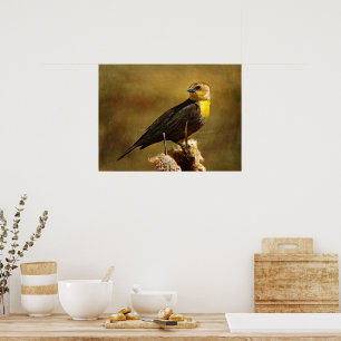 Textured Yell0w-headed Blackbird Framed Print