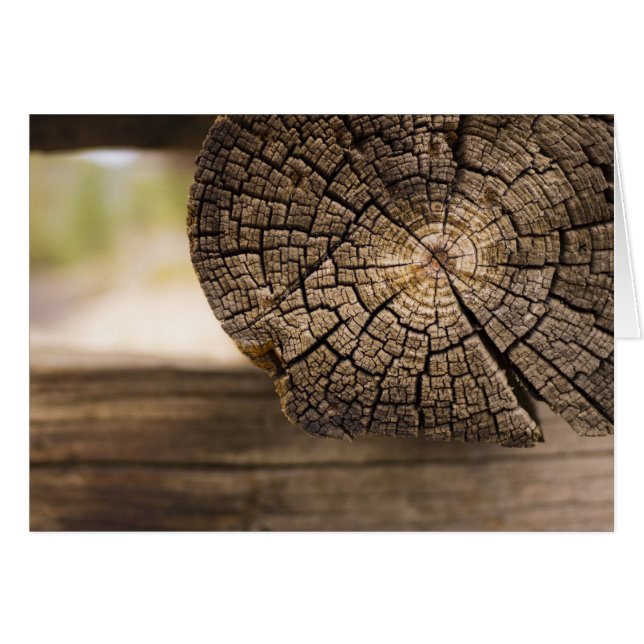 Textures en bois Cabine (Devant horizontal)