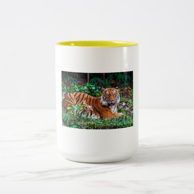 tg mug (Center)
