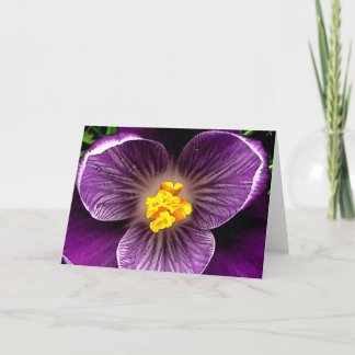 TGK PURPLE CROCUS CARD