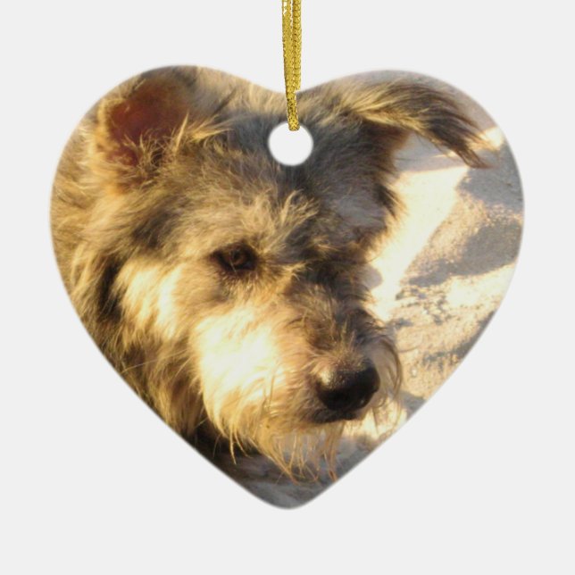 Thai Beach Dog Ceramic Ornament (Front)