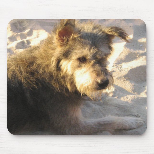 Thai Beach Dog Mouse Pad (Front)