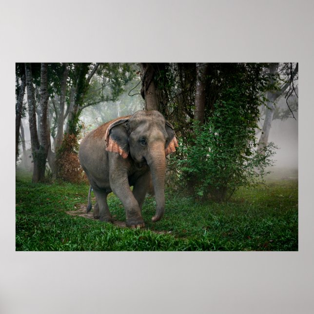 Thai Elephant Poster (Front)