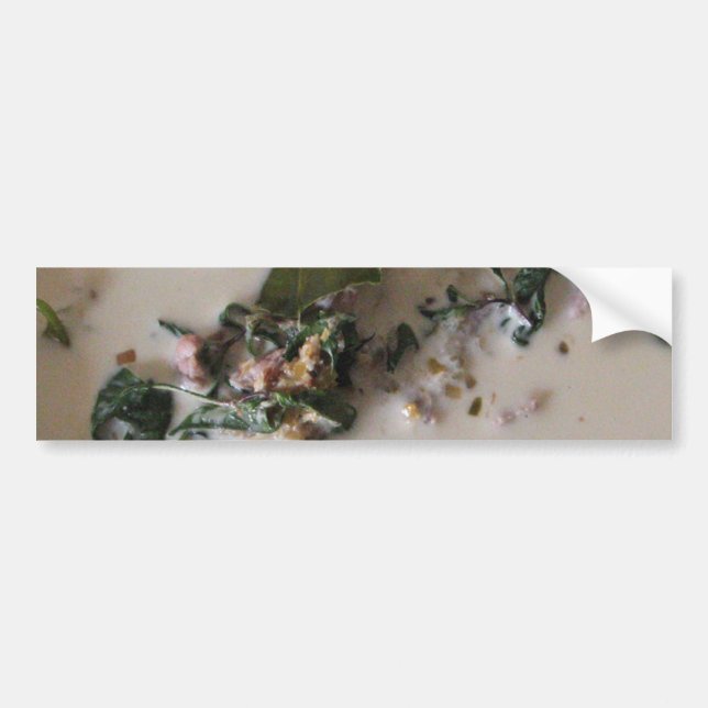 Thai Green Curry [แกงเขียวหวาน] ... Asian Food Bumper Sticker (Front)