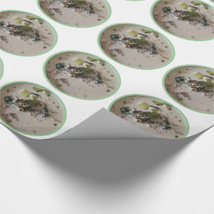 Thai Green Curry [แกงเขียวหวาน] ... Asian Food Wrapping Paper