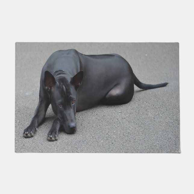 Thai Ridgeback Dog Doormat (Front)
