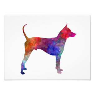 Thai Ridgeback Dog in watercolor Photo Print