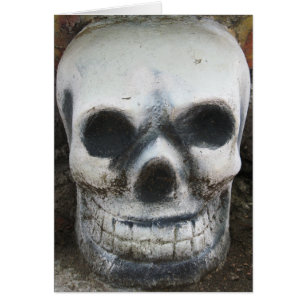 Thai Skull