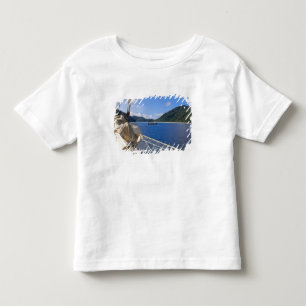 Thailand, Andaman Sea. Star Fyer clipper ship Toddler T-shirt