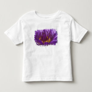 Thailand, Bangkok, Purple and yellow lotus 2 Toddler T-shirt