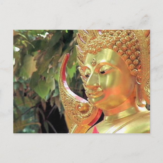 Thailand Buddha Postcard (Front)