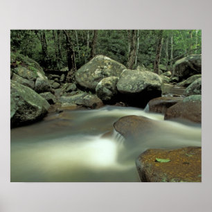 Thailand, Kohsamui Island, Rainforest landscape. Poster