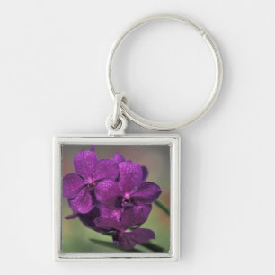Thailand, Northern Thailand, near Chang Mai, Mae Keychain
