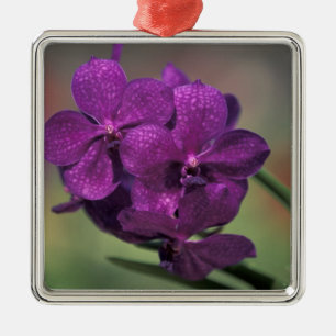 Thailand, Northern Thailand, near Chang Mai, Mae Metal Ornament